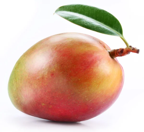 Mango with leaf — Stock Photo, Image