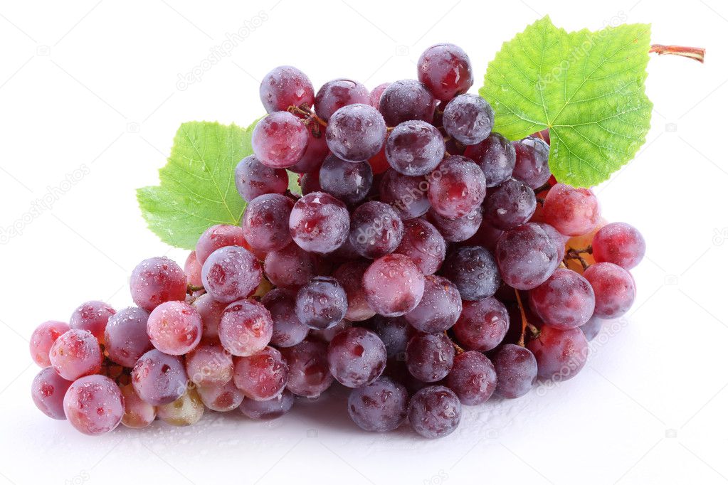 Grape cluster with leaves isolated on a white background