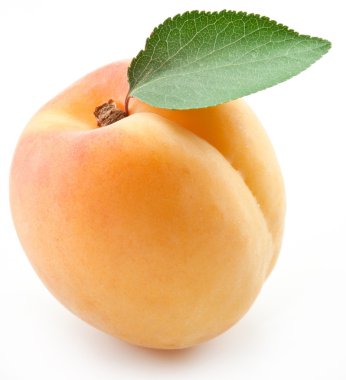 Apricot with leaf on a white background. clipart