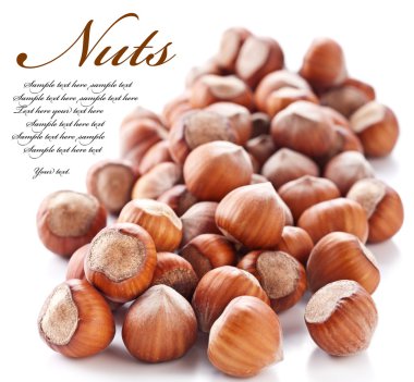 Nuts filberts isolated clipart