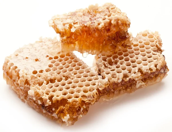 Panales de miel. — Foto de Stock