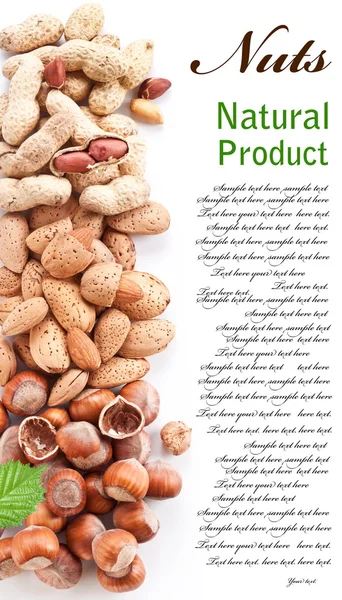 Group mixed nuts. — Stock Photo, Image
