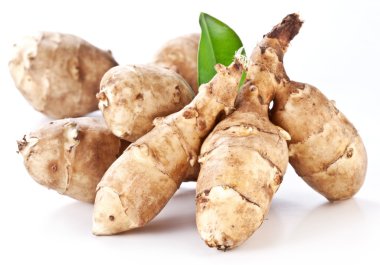 Jerusalem artichoke clipart