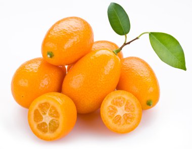 Kumquat citrus clipart