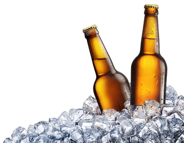 Dvě lahve piva na ledě — Stock fotografie