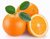 Pomerančové ovoce na bílém pozadí.