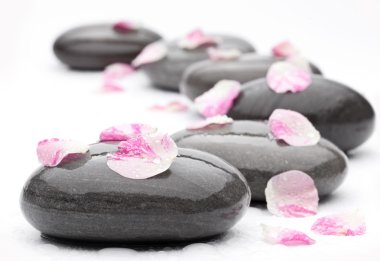 Spa stones with rose petals clipart