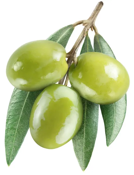 Оливки с листьями на белом — стоковое фото