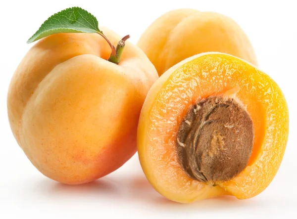 Aprikoser med blader – stockfoto
