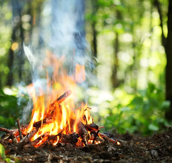 Φωτιά στο δάσος. — Φωτογραφία Αρχείου