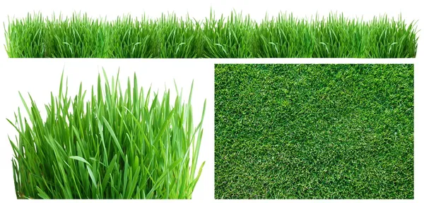 Voorjaar groen gras. — Stockfoto