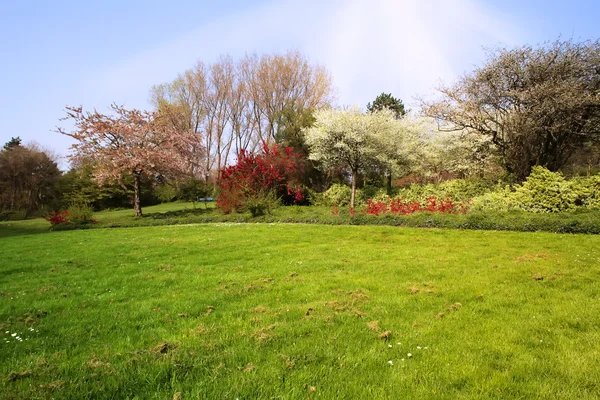 Jardín de primavera —  Fotos de Stock