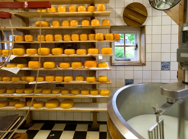 Produkcja serów — Zdjęcie stockowe