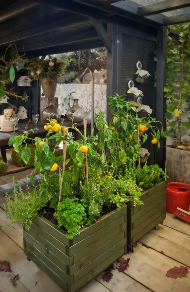 Seasonal home garden — Stock Photo, Image