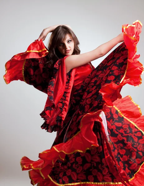 Flamenco, tiro de estúdio — Fotografia de Stock