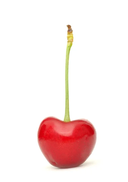 Sweet cherry — Zdjęcie stockowe