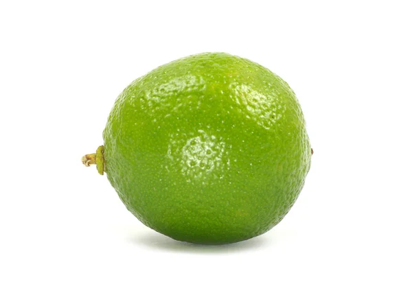 stock image Limes on white