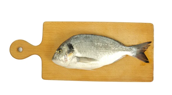Peşte pe alb — Fotografie, imagine de stoc