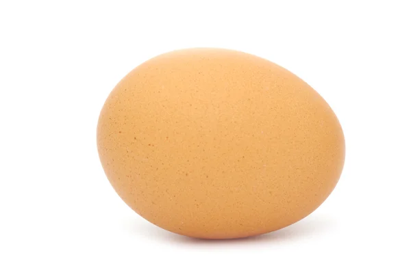 stock image Egg on white