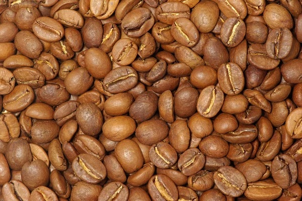Kávové zrna — Stock fotografie
