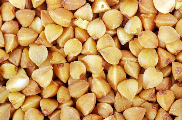 Frumento saraceno — Foto Stock