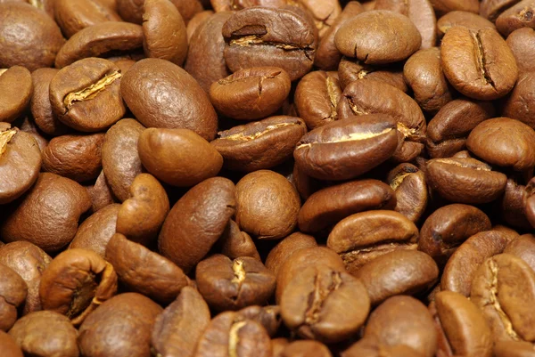 Kaffeekörner — Stockfoto