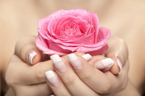 Dar uma rosa. A mão da mulher Imagens Royalty-Free