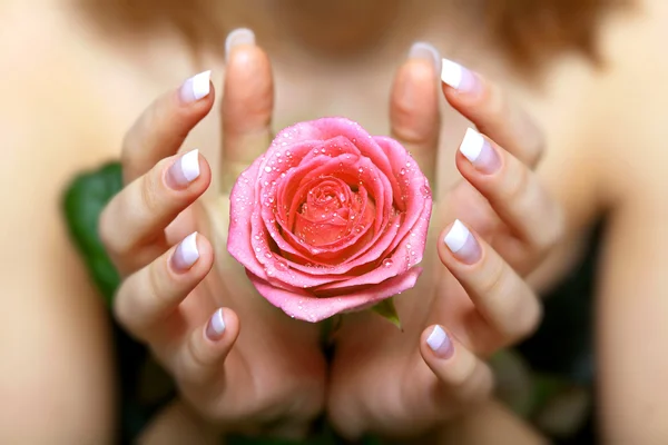 Dar uma rosa. A mão da mulher — Fotografia de Stock