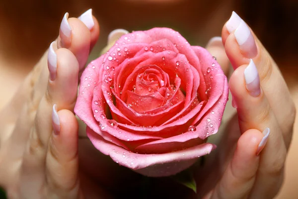 Dando una rosa. Mano de mujer —  Fotos de Stock
