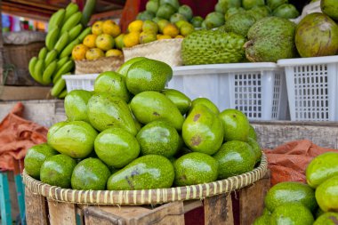 Avokado'nın Satılık