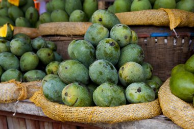 Mango Satılık