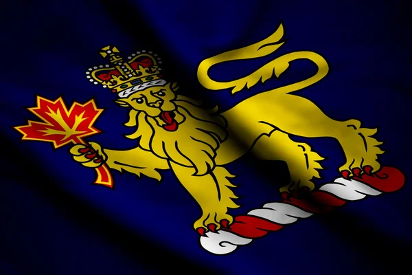 Vlajka guvernéra Kanady — Stock fotografie
