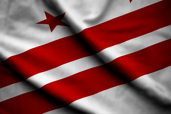 ワシントン dc の旗 — ストック写真