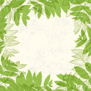 Green leaves frame on paper texture. Vector illustration, EPS10. clipart