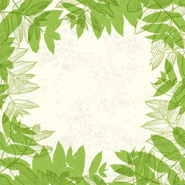 Green leaves frame on paper texture. Vector illustration, EPS10. — Stock Vector