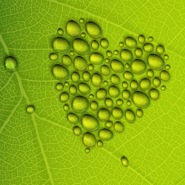 Heart shape dew drops on green leaf. Vector illustration, EPS10 — Stock Vector