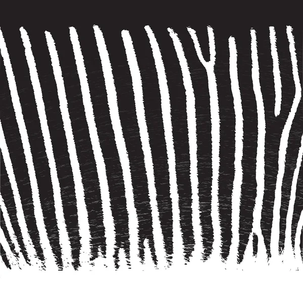 Patrón de piel de cebra, vector de fondo, EPS10 — Archivo Imágenes Vectoriales