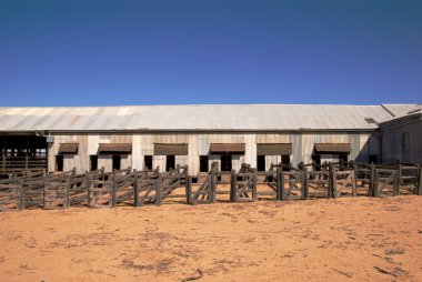 Abandoned shearing shed clipart
