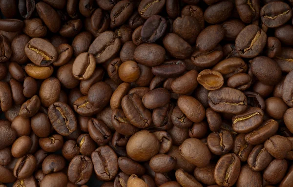 stock image Coffe Beans