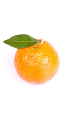 Mandarin