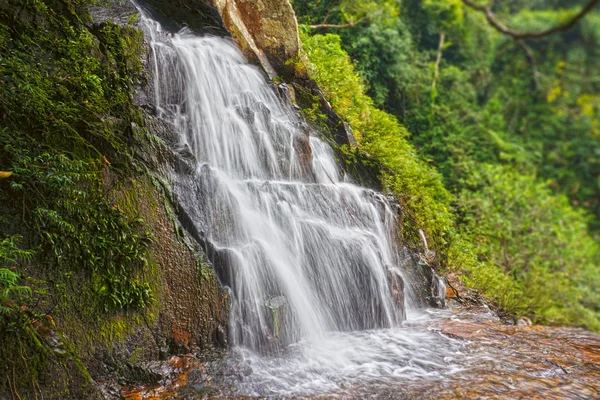 stock image Waterfall