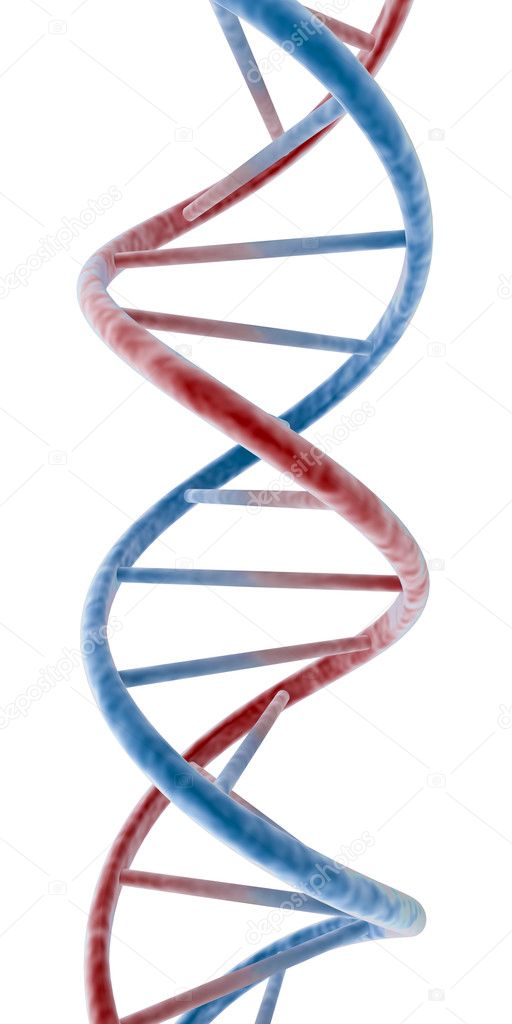 Dna on a white background