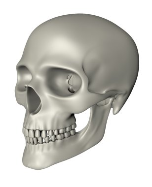 Human Skull - Oblique Projection clipart