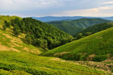 Borzhava ridge slopes in Carpathians clipart