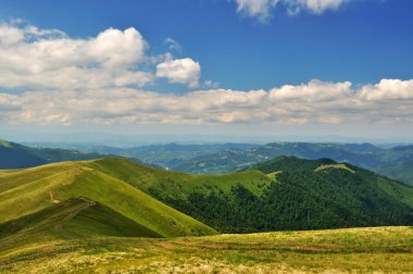 Moutain path through meadows clipart