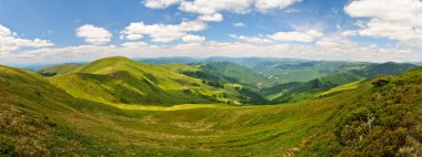 Valley in Carpathian mountains clipart