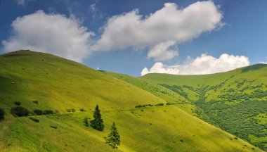 Ukrayna Dağ Meraları