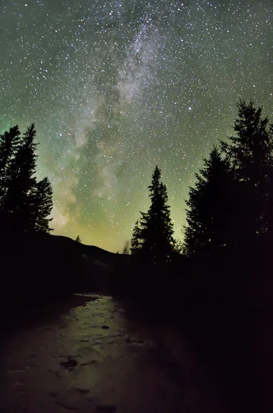 Milchstraßengalaxie über dem Fluss und dem dunklen Kiefernwald — Stockfoto