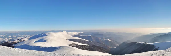Снежные горные хребты с панорамой елового леса — стоковое фото