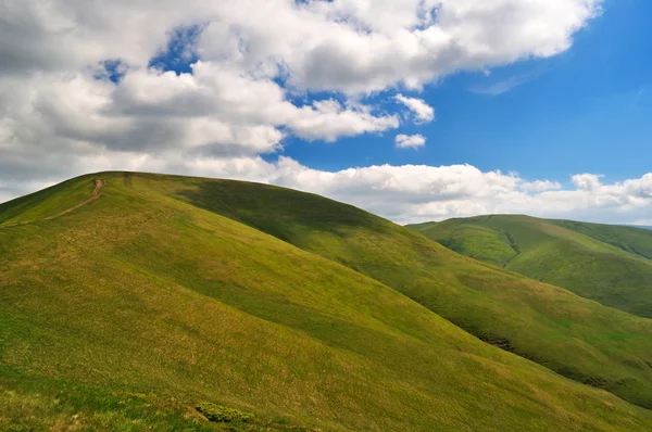 stock image Mountain meadows